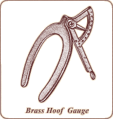 Brass Hoof Gauge