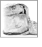 Rock