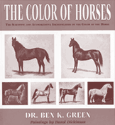 The Color of Horses